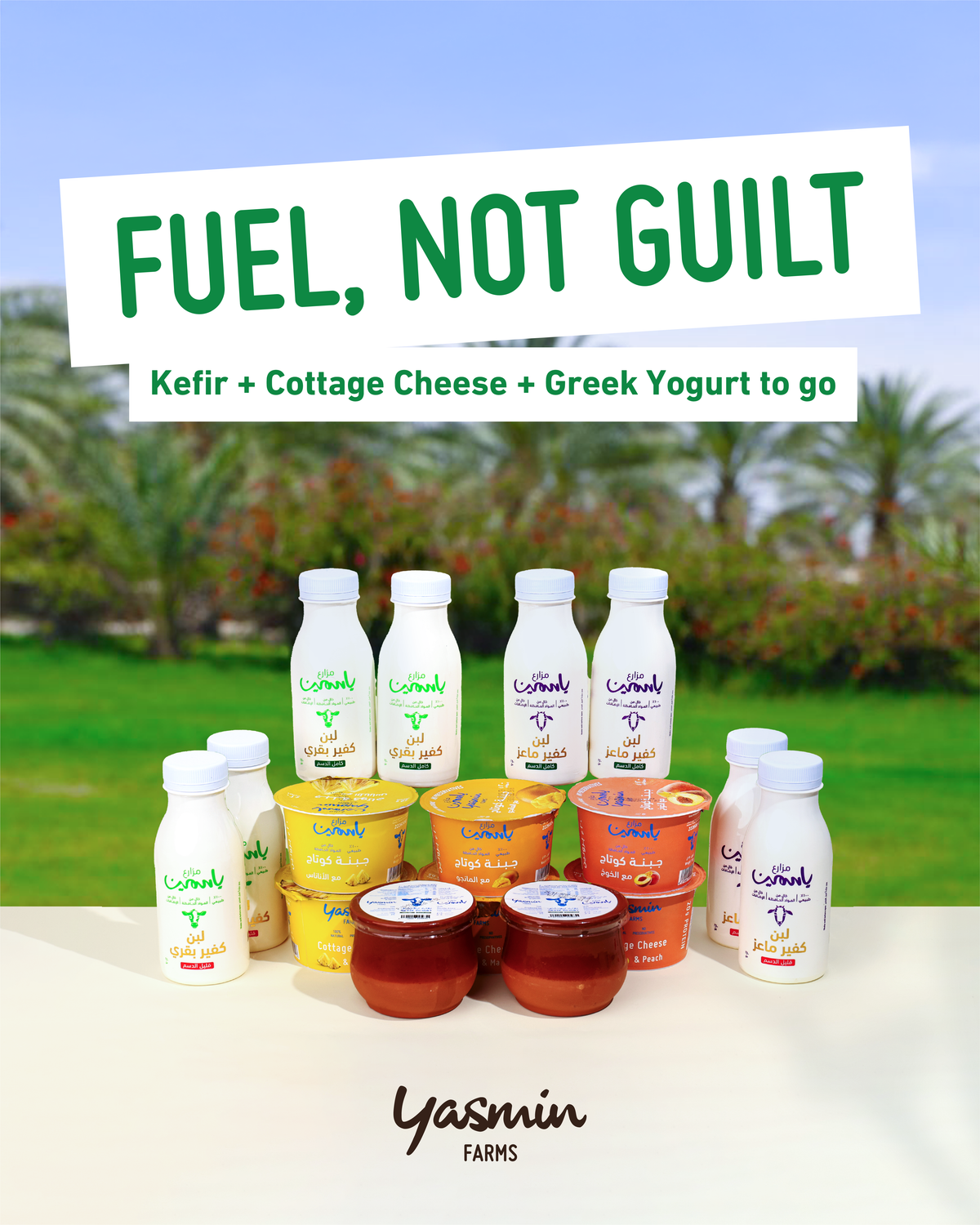 Healthy On the Go