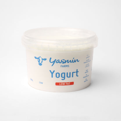Yoghurt 500G Low Fat